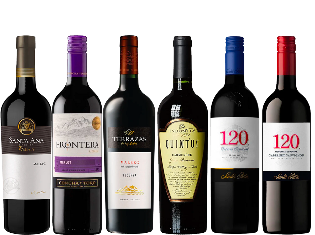 Discover Argentina Chile 6 Bottle Case Wine Central