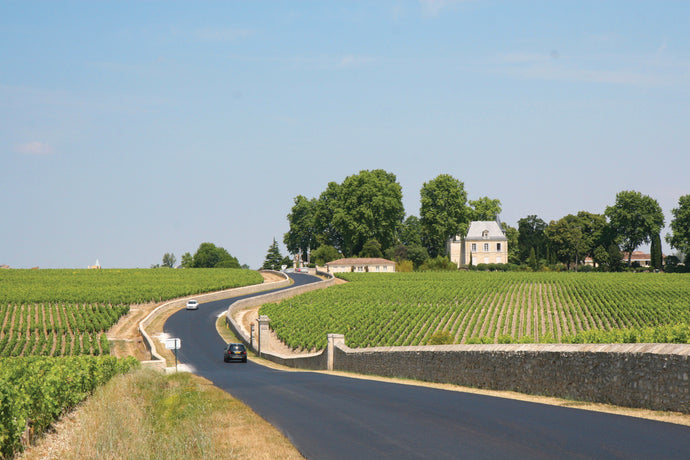 Discover Bordeaux Wine Guide