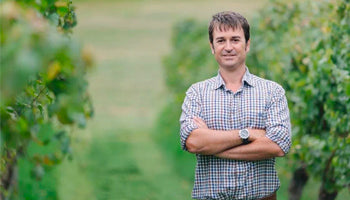 Meet Mr. Chardonnay – Nick Picone, Group Chief Winemaker at Villa Maria