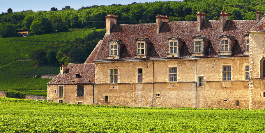 Discover Côtes du Rhône Wine Guide