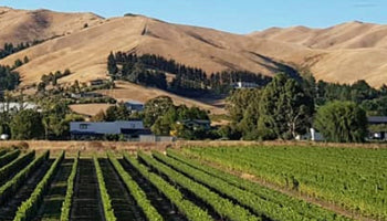 Lawsons Dry Hills