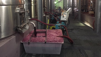 Bordeaux Update #1: Remontage tout les temps! Getting those grapes moving