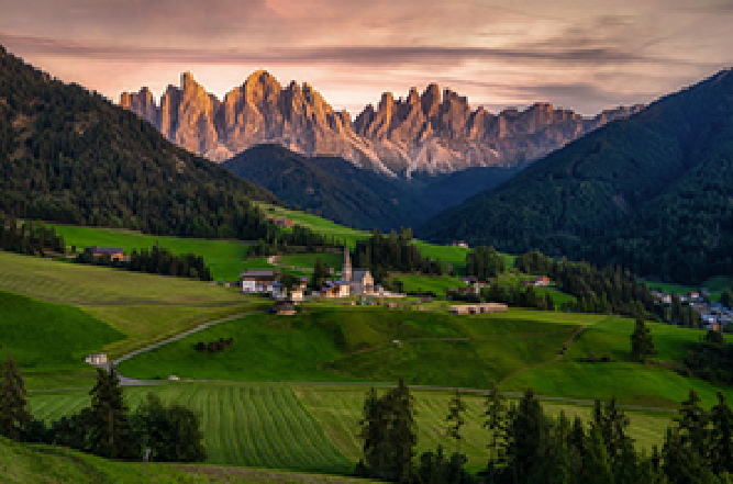 Italian Vineyards 