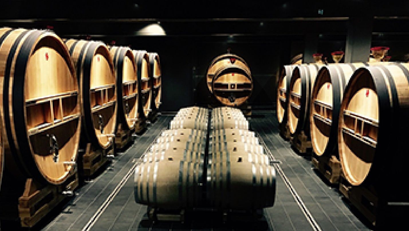 Room of oak wine casks