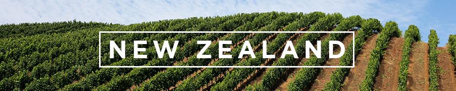 New Zealand Sauvignon Blanc Selection
