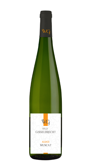 Gisselbrecht Muscat Reserve 2021