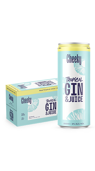 cheeky hard iced tea gin and juice (10x250ml)
