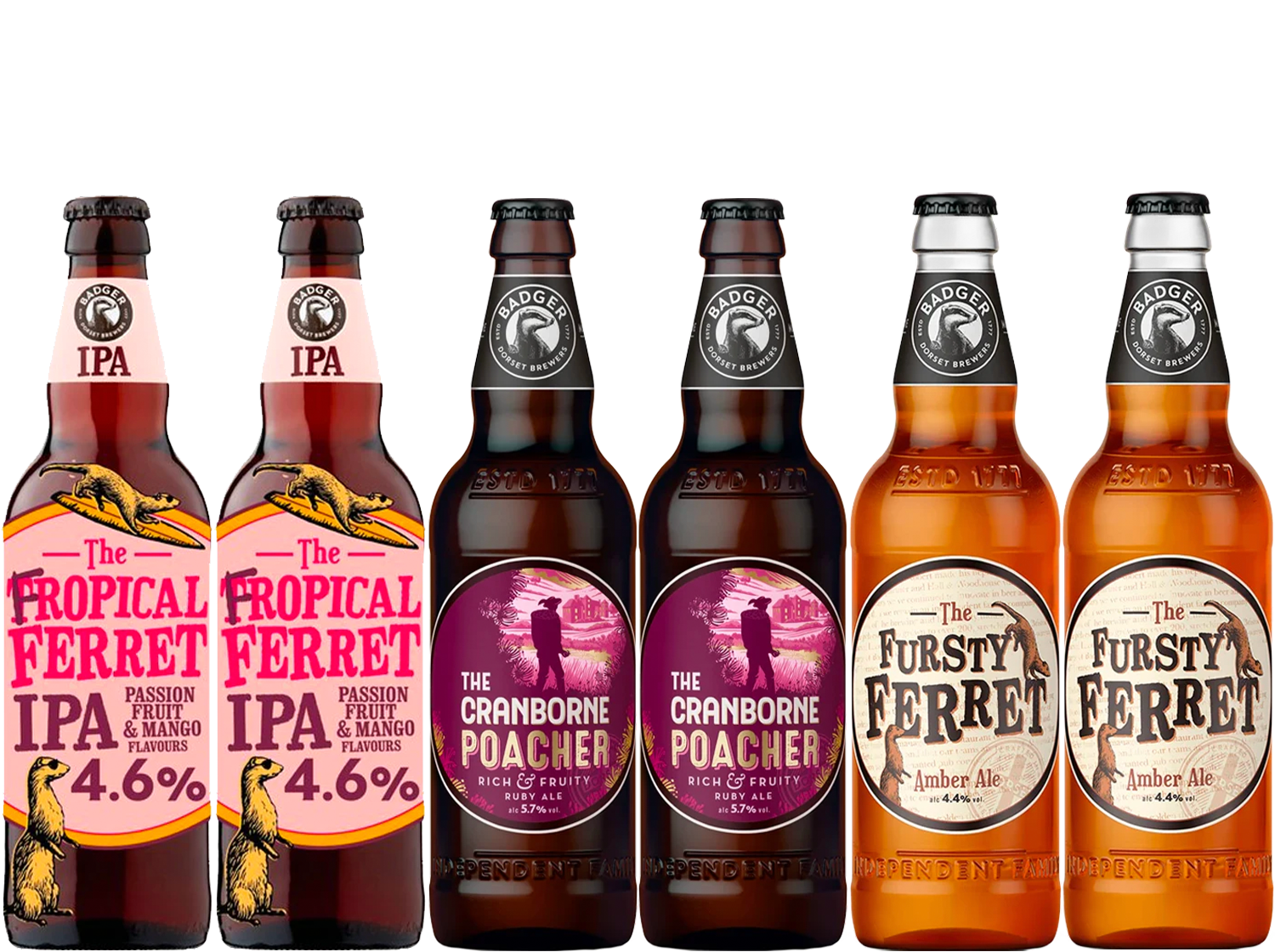 Badger Brewery 6 Bottle Taster Case