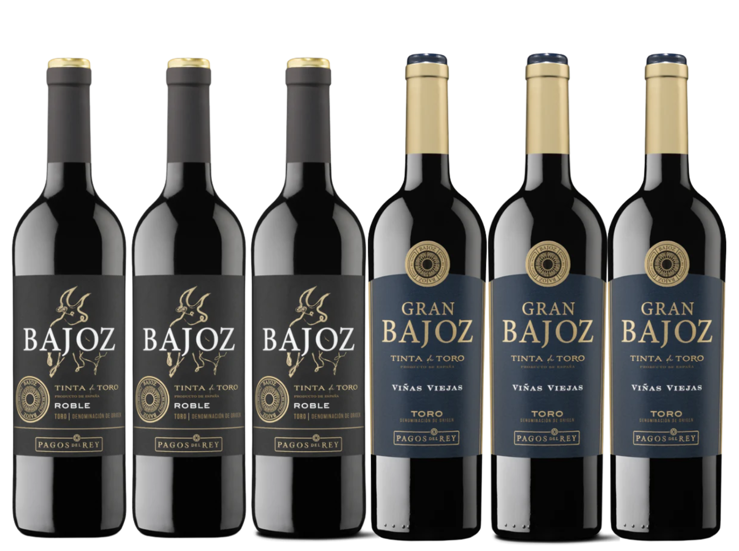 Bajoz Discovery 6-Pack