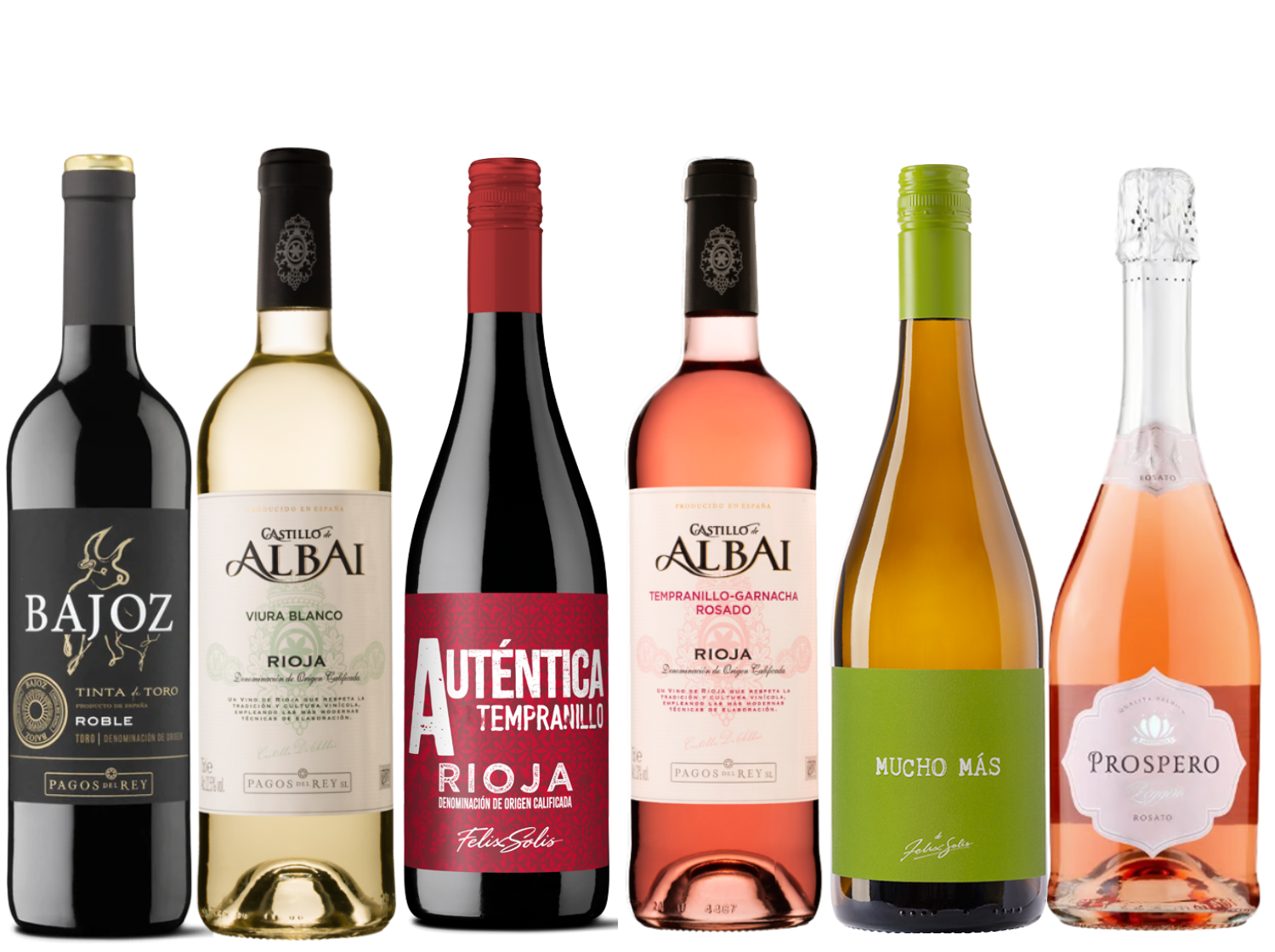 Discover Spain 6 Bottle Case