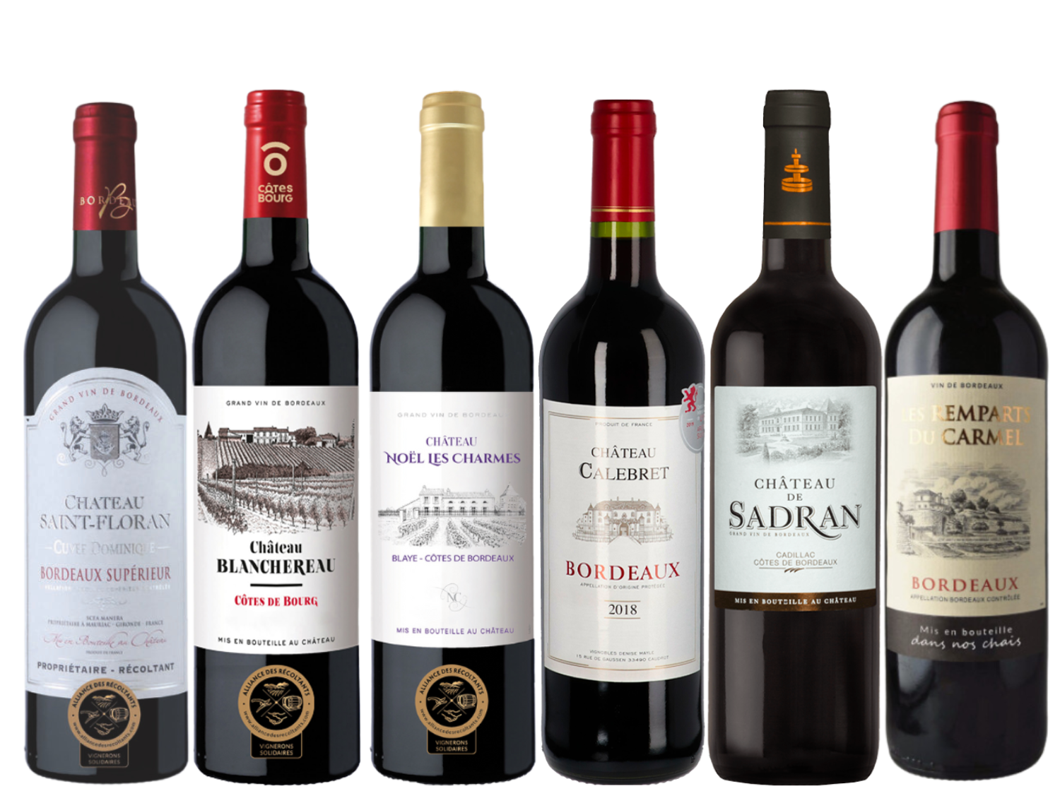6 Bottle Discover Bordeaux Case