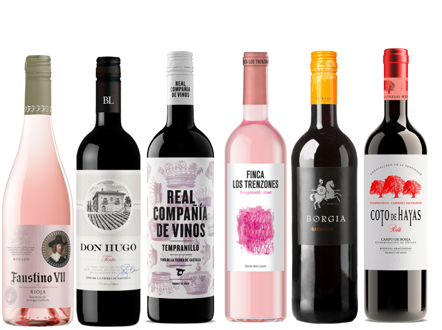 Discover Spain 6 Bottle Case