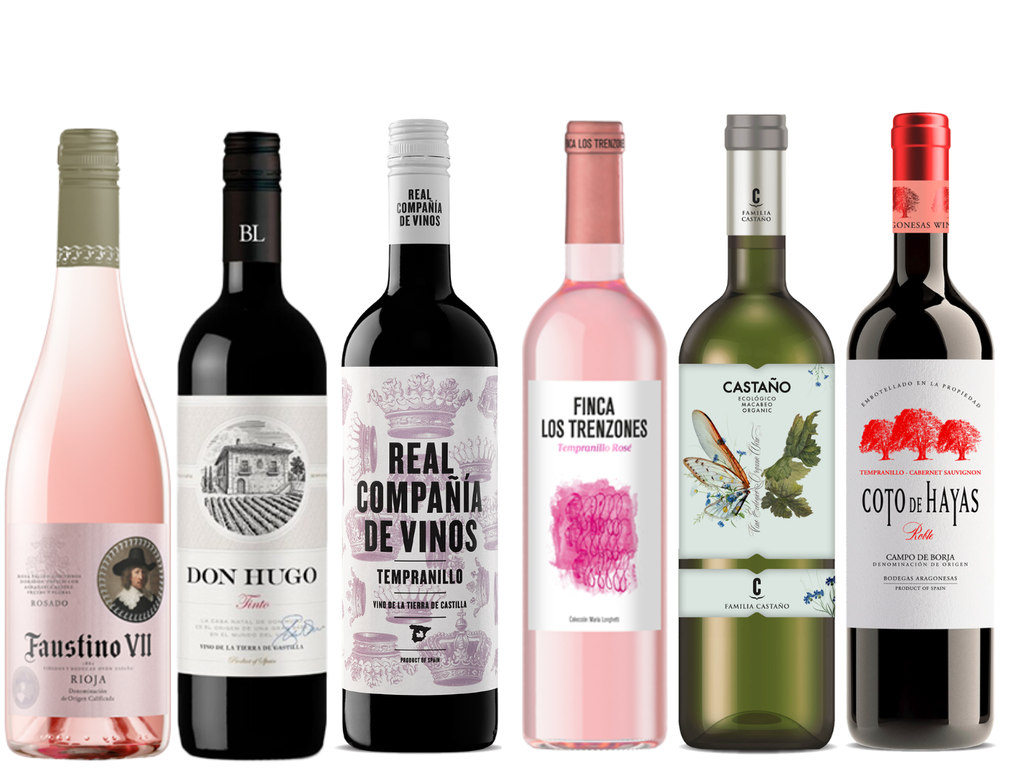 Discover Spain 6 Bottle Case