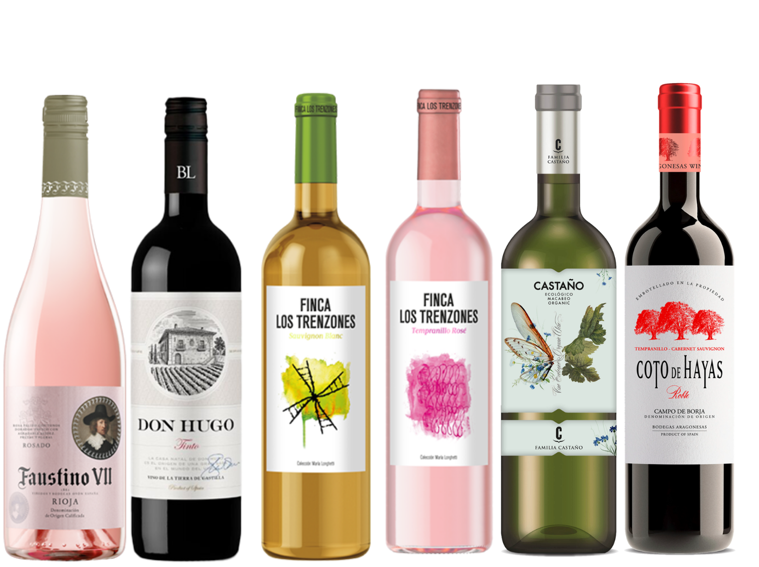 Discover Spain 6 Bottle Case