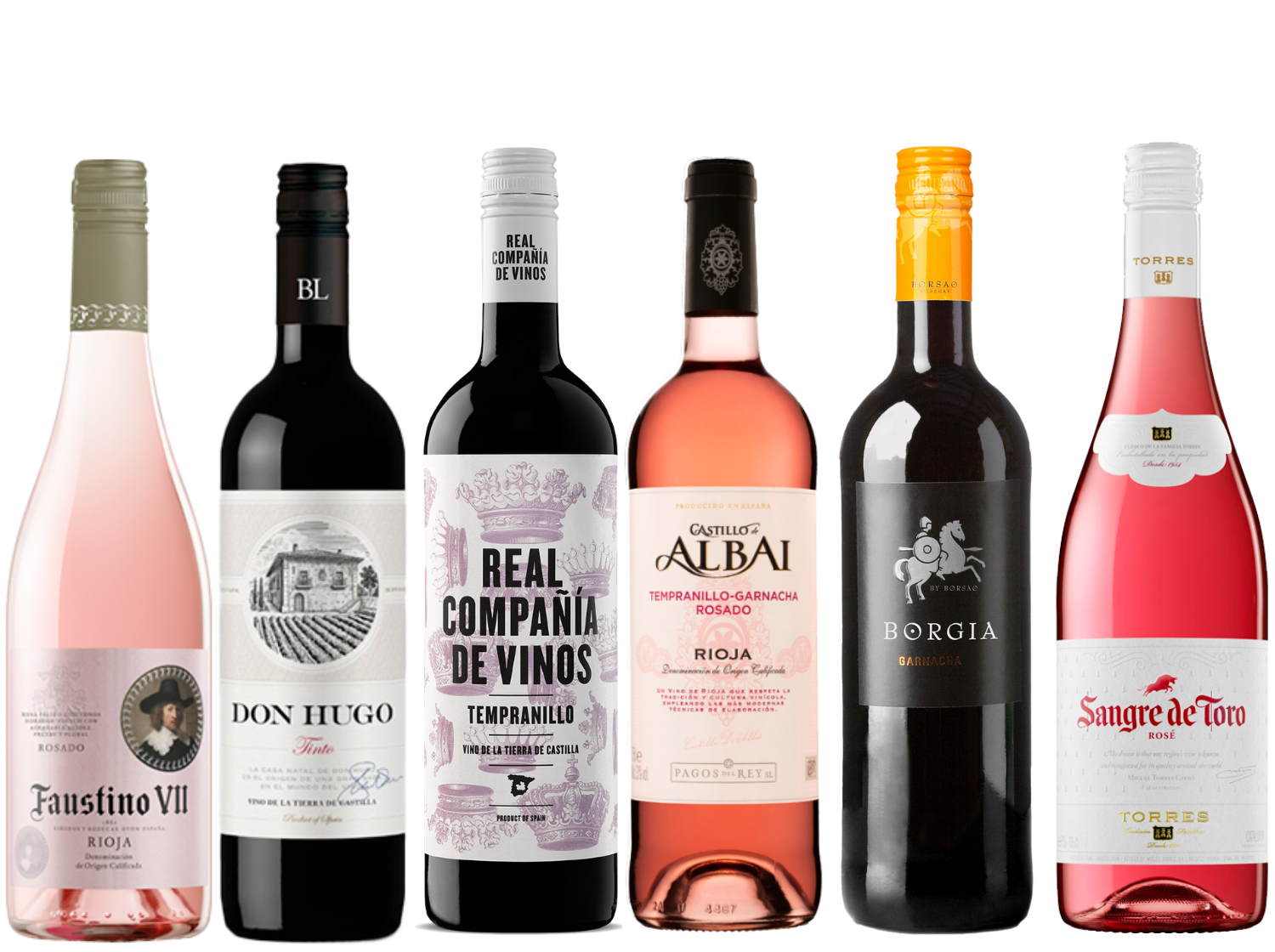 Discover Spain 6 Bottle Case