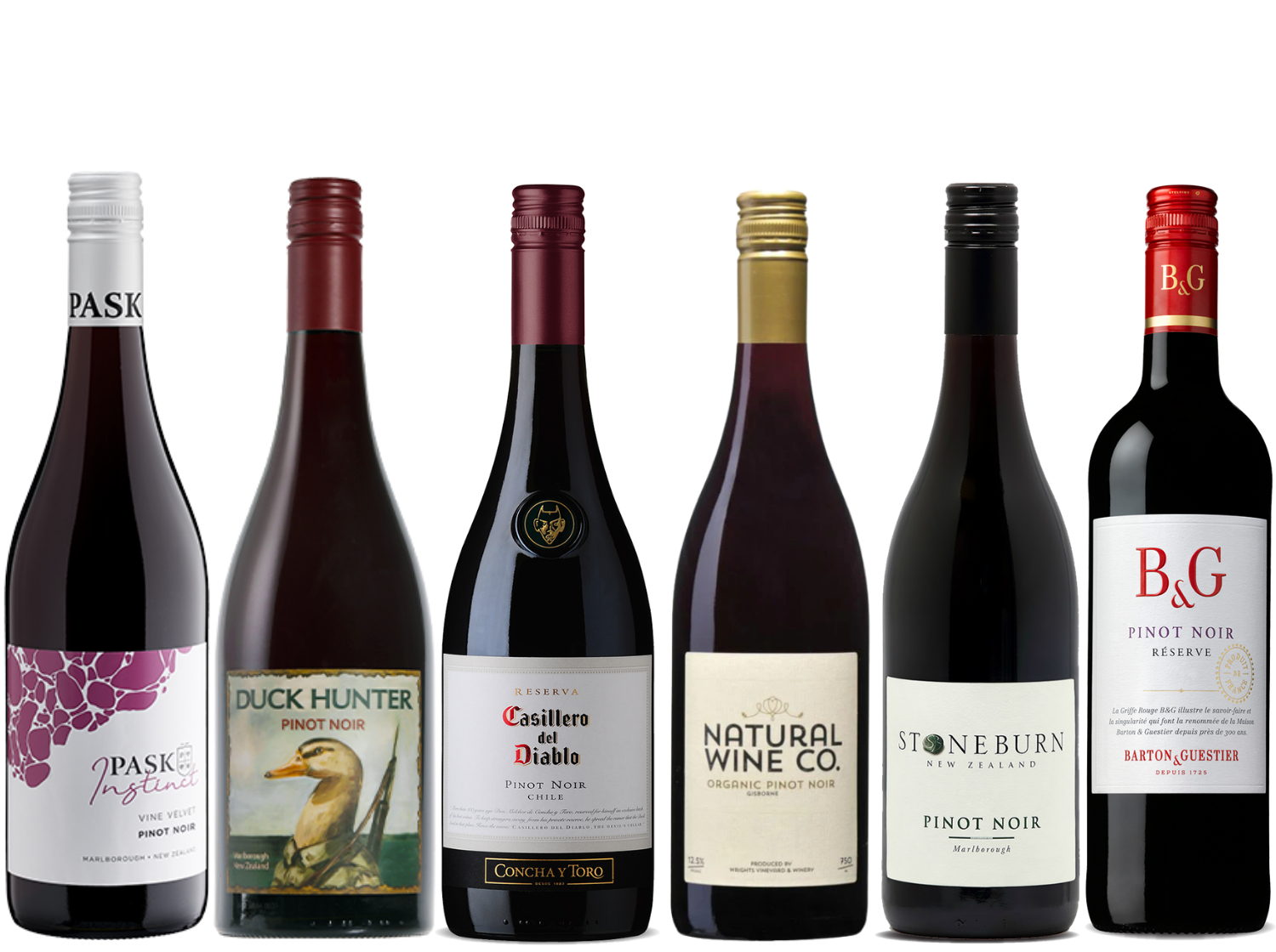 Explore Pinot Noir 6 Bottle Case