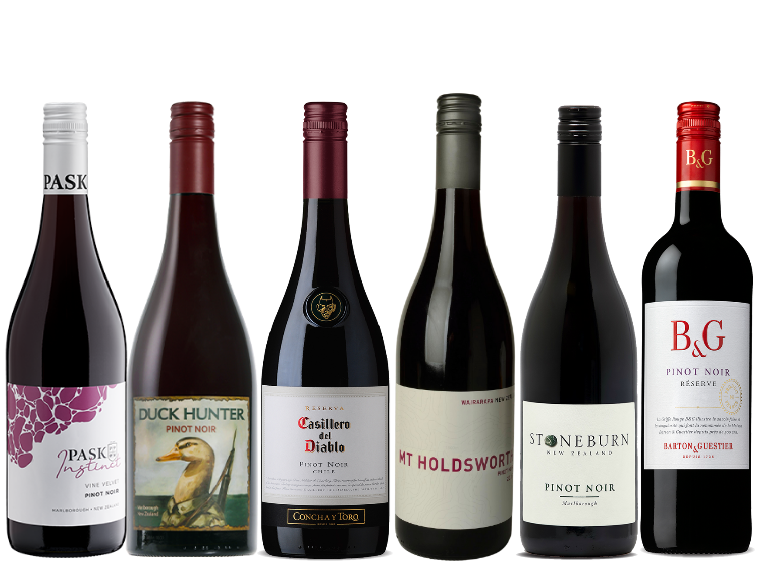 Explore Pinot Noir 6 Bottle Case