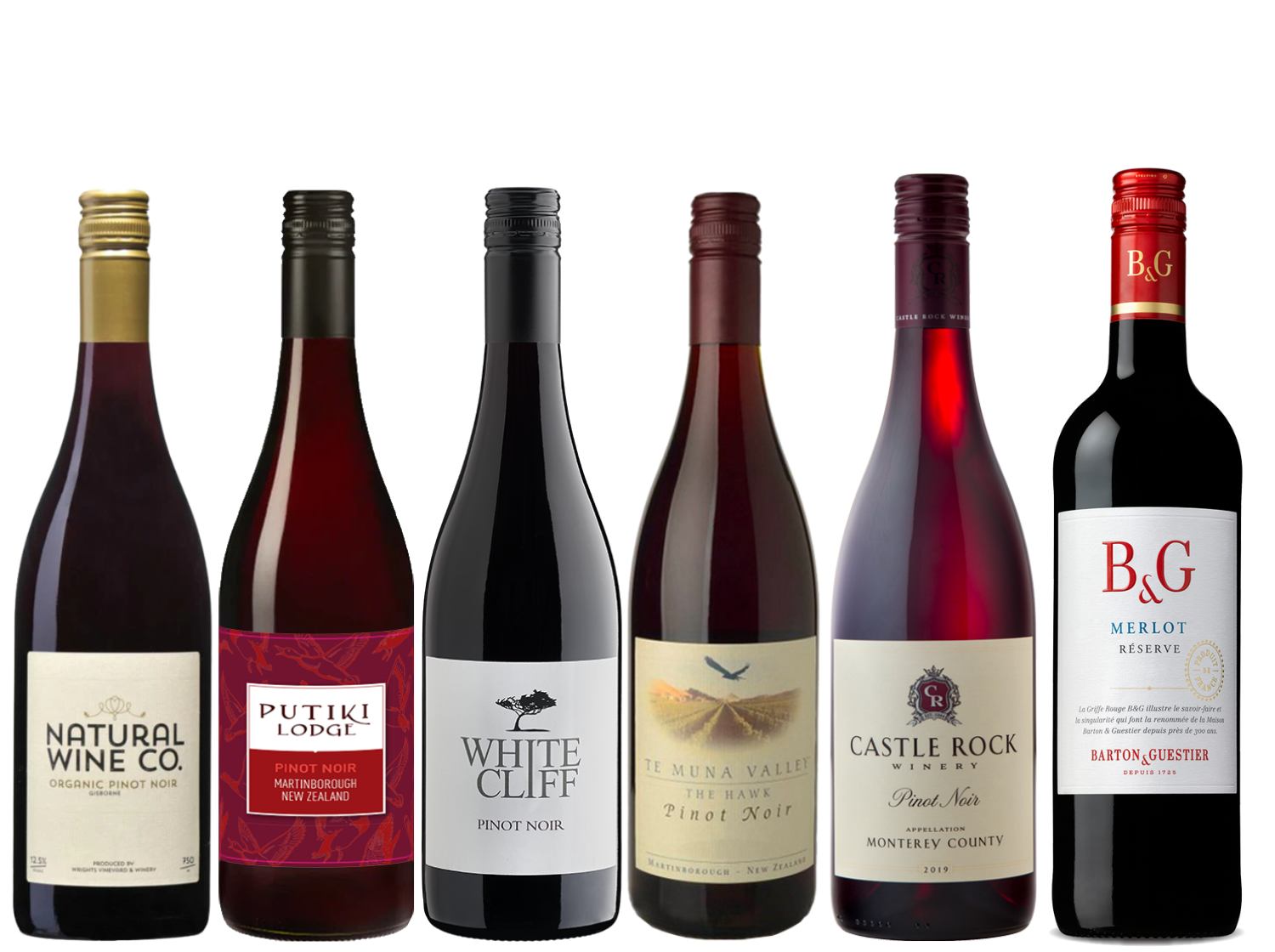 Chillable Reds & Bright Nights