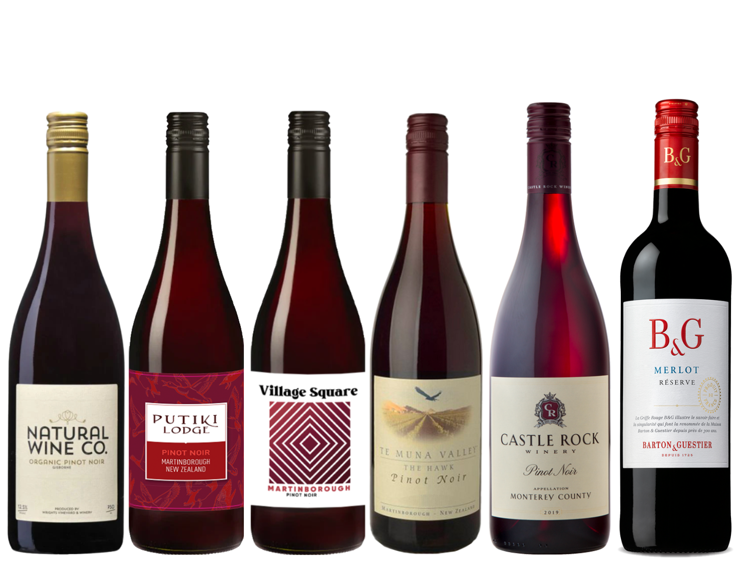 Chillable Reds & Bright Nights