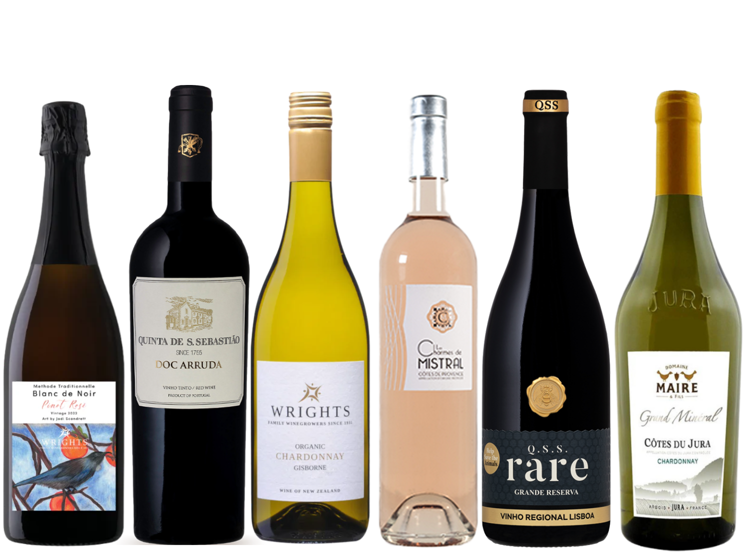 Christmas Entertainer Premium 6