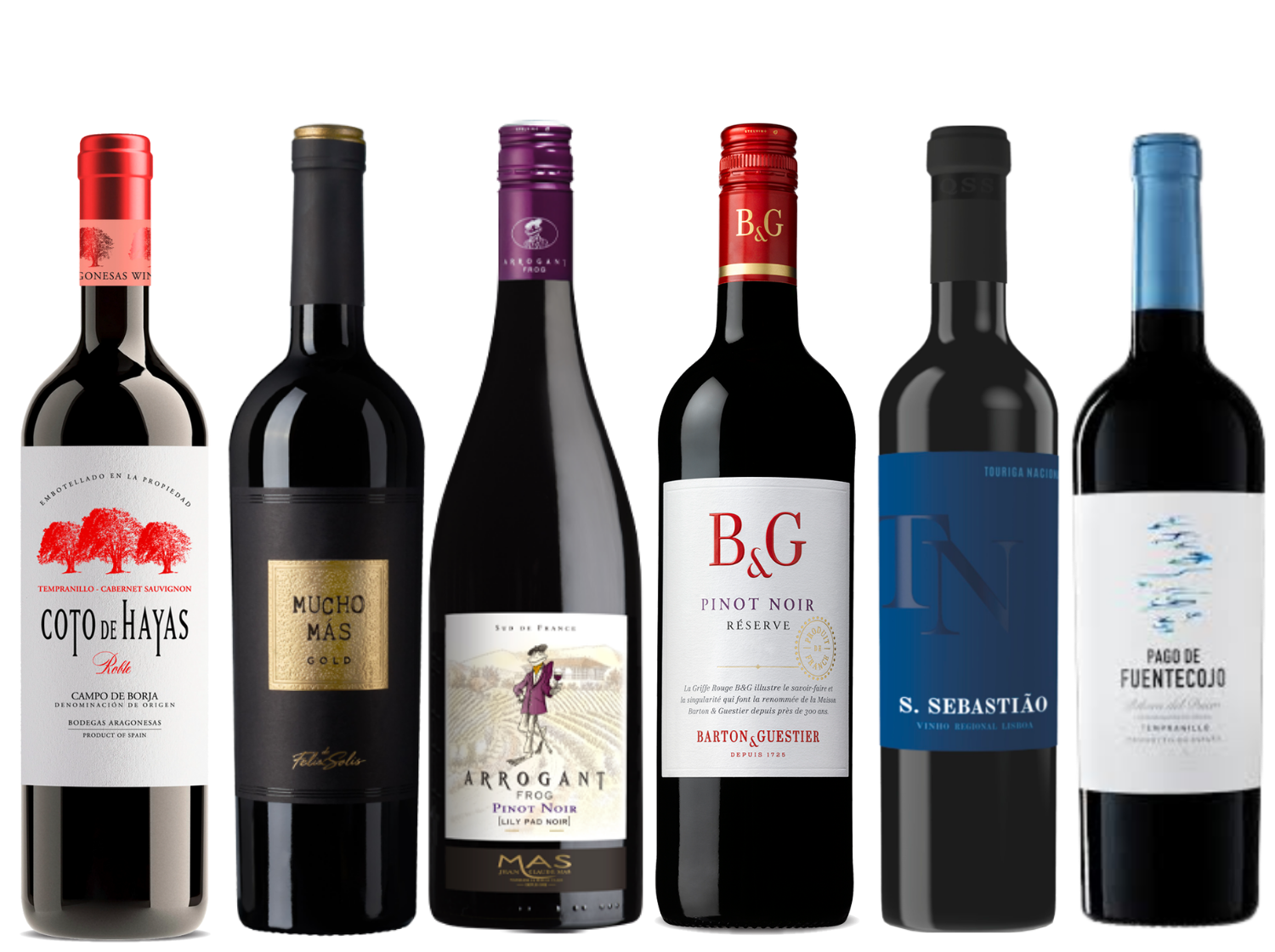 European Reds Discovery 6