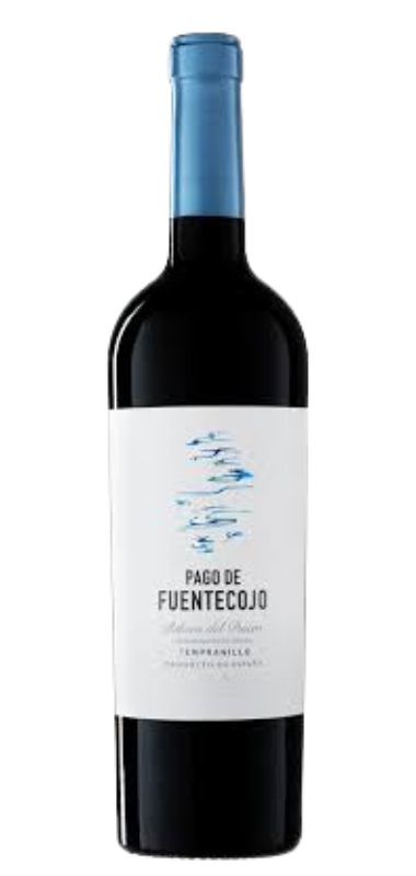 Pago de Fuentecojo 2020