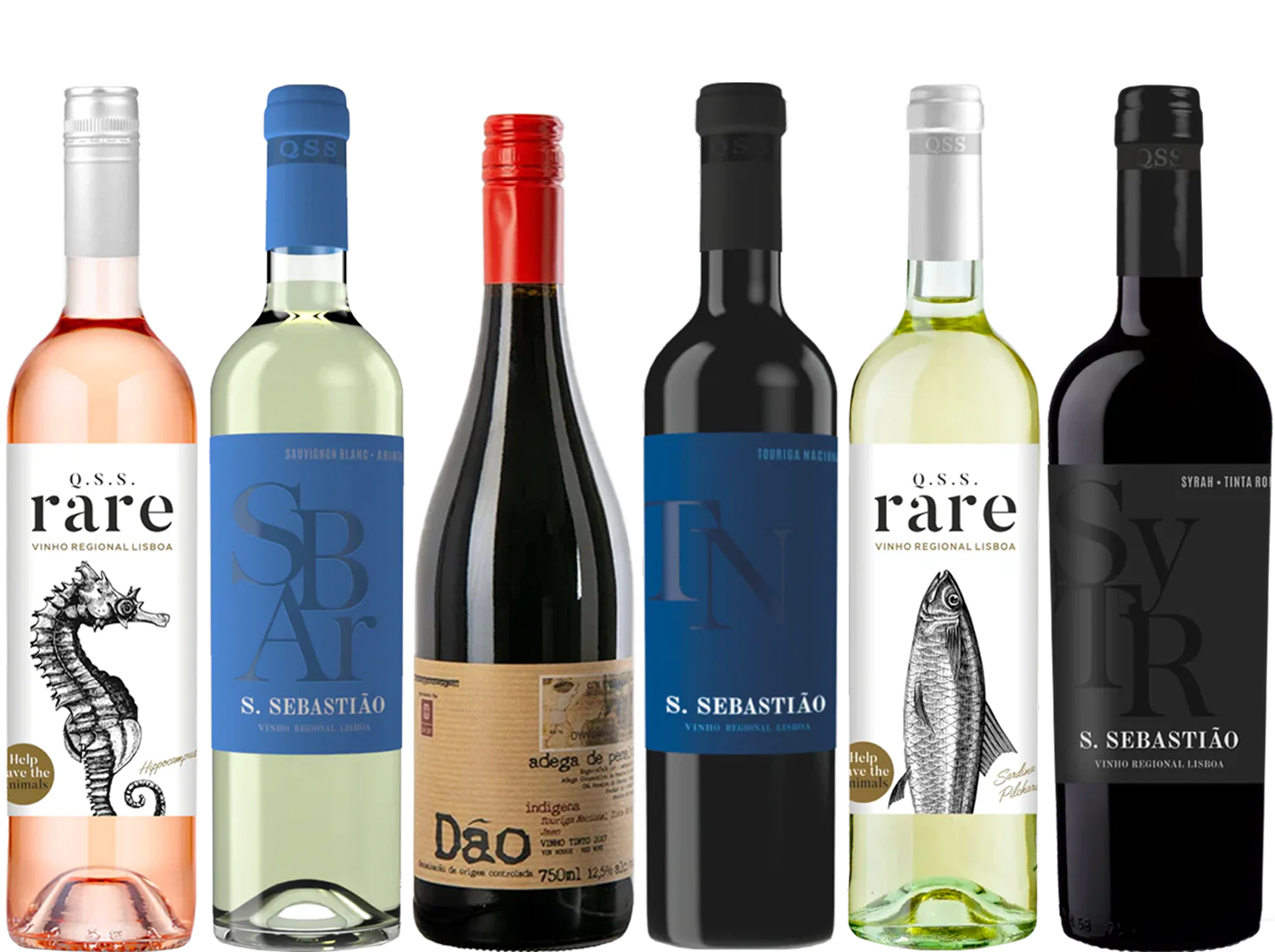 Discover Portugal 6 Bottle Case