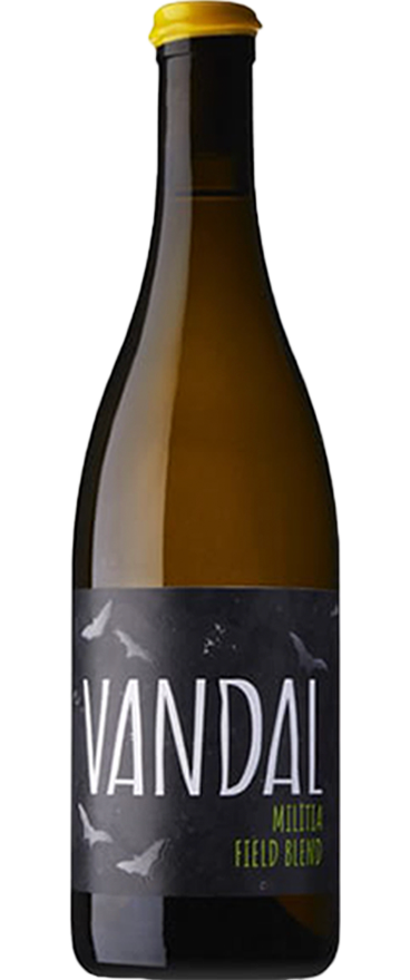 Vandal Gonzo Militia Field Blend 2022