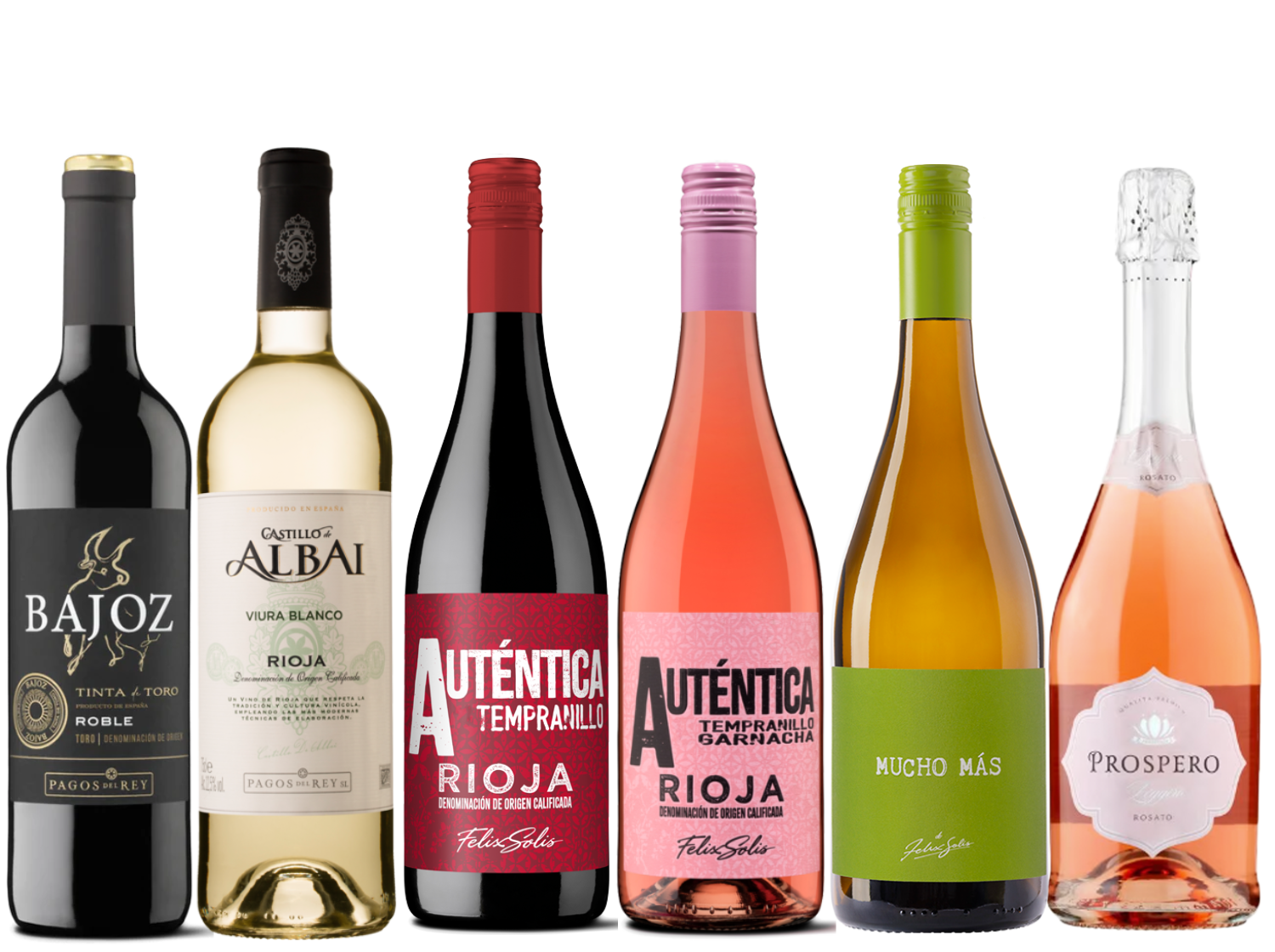 Discover Spain 6 Bottle Case
