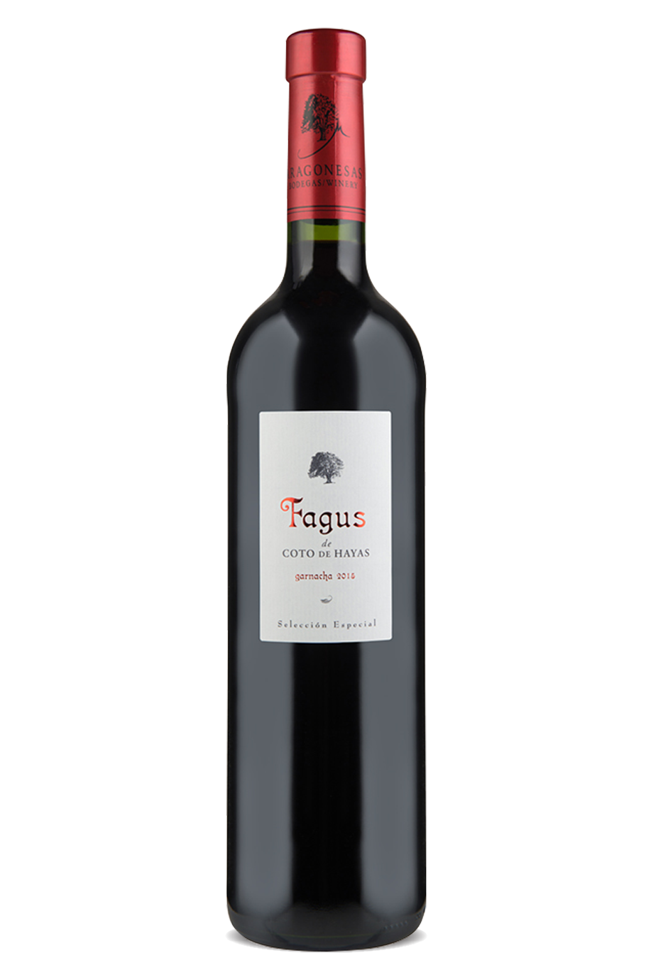 Coto de Hayas Fagus 2019