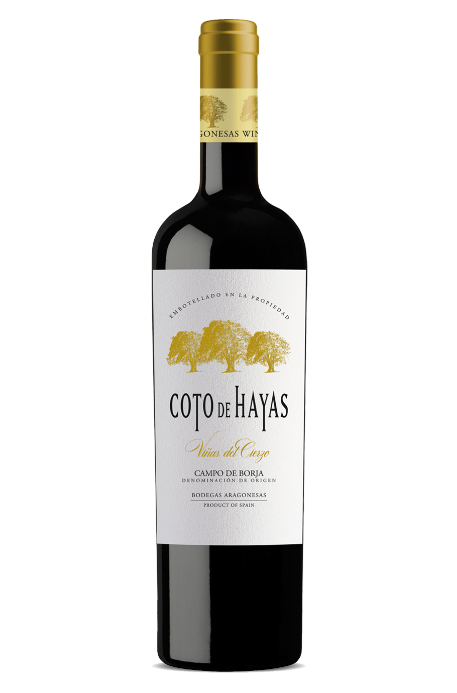 Coto de Hayas Vinas del Cierzo Reserva 2015