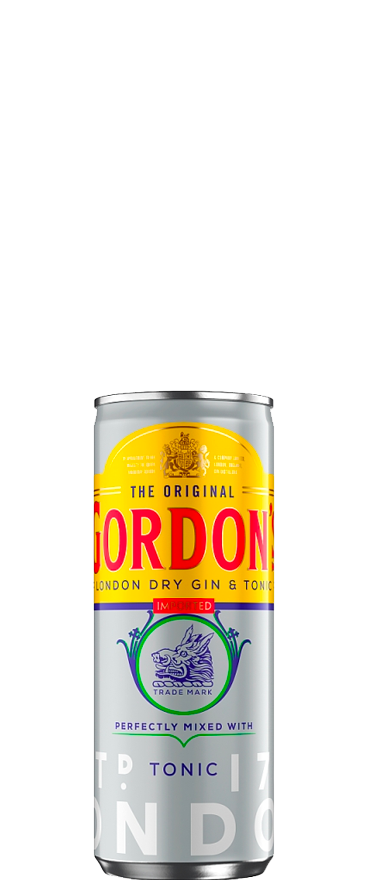 Gordon's Gin & Tonic (12x 250ml Cans)