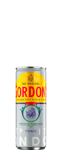 Gordon's Gin & Tonic (12x 250ml Cans)