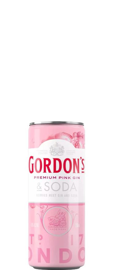 Gordon's Pink Gin & Soda (12x 250ml Cans)