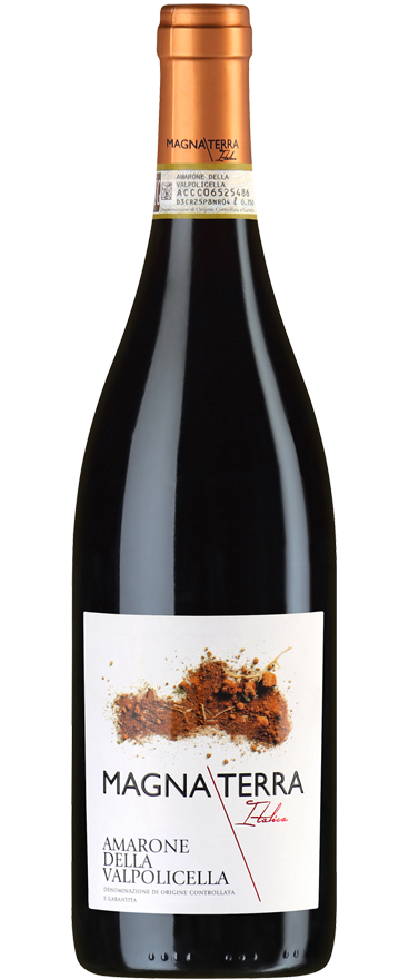 Magna Terra Amarone dellla Valpolicella DOCG 2017