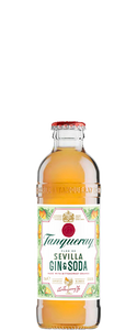 Tanqueray Flor de Sevilla Gin & Soda (4x 275ml Bottles) - Wine Central